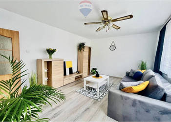 Komfortowe 3 pokoje do wynajęcia!