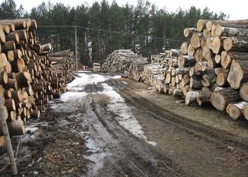 Drewno opałowe i kominkowe