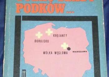 Zostały tylko ślady podków... - Cezary Leżeński