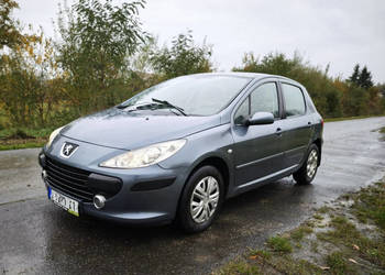 Peugeot 307 Peugeot 307 1,6 HDi II (2005-) Peugeot 307 Peugeot 307 1,6 HDi II (2005-)