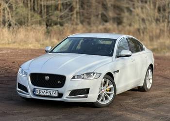 Biały Jaguar XF 2016 – wyjątkowy egzemplarz!