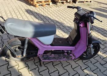 Simson zarejestrowany