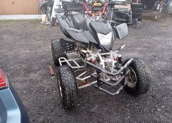 Quad Bashan 250