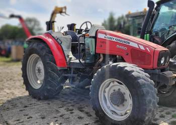 Massey Ferguson 5460, 115 KM, tunelowy, sadownik
