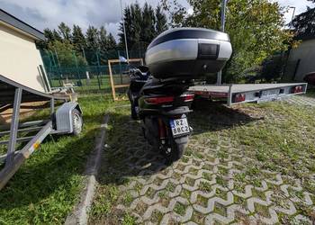 Piaggio MP3 500 HPE 2019