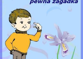e-book: O tym, jak wyjaśniła się pewna zagadka - pdf i ePub