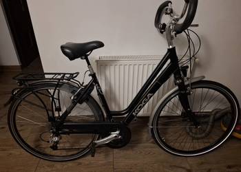 Rower damka holenderski  koga active 50"