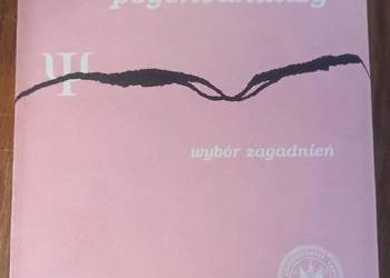 Problemy współczesnej psychoanalizy Wybór zagadnień - Solik