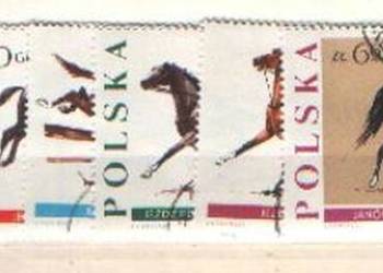Zn. Fi 1592 - 9 kas  1967