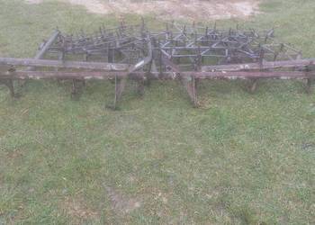 Brony polowe 5 piątki