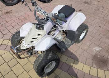 Quad 110 plus cross 50 atv dla mjasterkowicza