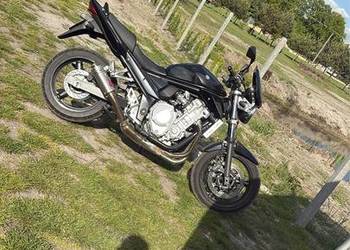 Suzuki GSF 650 Bandit 2009r 30tys Suzuki GSF 650 Bandit 2009r 30tys