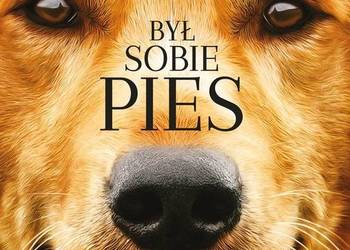 Zestaw filmów DVD Był sobie pies, był sobie pies 2.Nowy.Foli Zestaw filmów DVD Był sobie pies, był sobie pies 2.Nowy.Foli