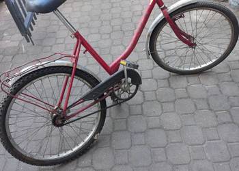 Jubilat - prawie - na działkę