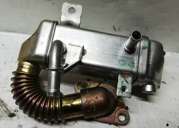 Chłodniczka EGR Renault Nissan 1.6 DCI 147350678R
