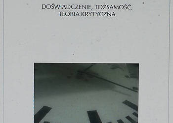 Historia w okresie przejściowym. Doświadczenie, tożsamość, t