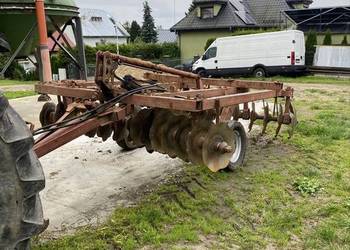 Talerzówka ruska 3 m Talerzówka ruska 3 m