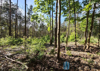 Oferta sprzedaży gruntu Warszawa 1656m2