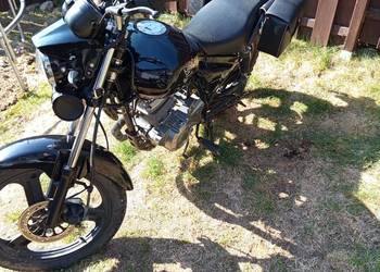 Toros negro 125 na kat b