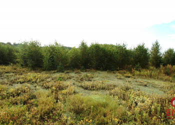 Działka 2806m2 Klimki