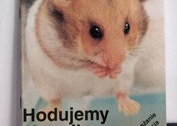 Książka, zwierzęta – Hodujemy Chomika