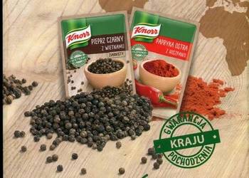 PRZYPRAWY ŚWIATA KNORR