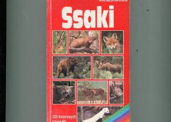 Encyklopedia kieszonkowa Ssaki - Helga Hofmann