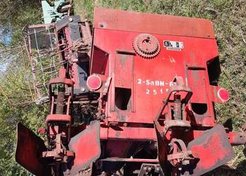 Sadzarka czeska 3 szt