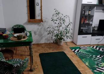 3 pokoje | 52 m² | Mokotów-Służew | ul. Gotarda | Zwierzęta mile widziane