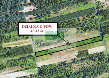 NA SPRZEDAŻ DZIAŁKI ROLNE W BRZÓZIE KRÓLEWSKIEJ