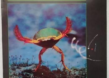 Vangelis "Soil Festivities"