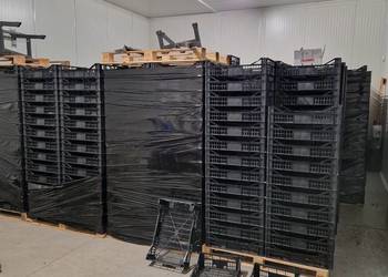 Skrzynki plastikowe 40/60