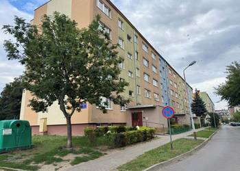 syndyk sprzeda lokal mieszkalny