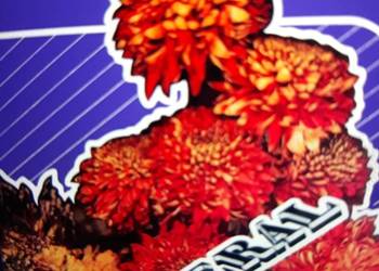 Archiwum węgierskiego rocka GENERAL- General II   1975. Archiwum węgierskiego rocka GENERAL- General II   1975.