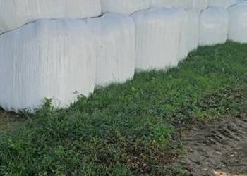 Sprzedam bele sianokiszonka 2025 Sprzedam bele sianokiszonka 2025