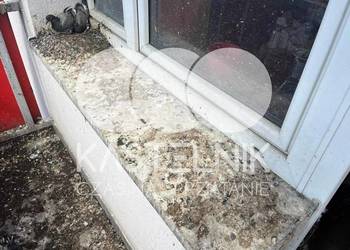 Sprzątanie po gołębiach Tychy – Kastelnik, mycie balkonów, strychów
