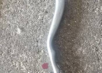 Lewa klamka motocykla MW (metalowa)