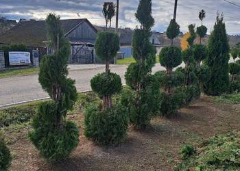 Brukarka i Ogrodnictwo