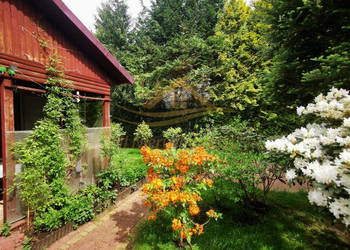 Grunt 506m2 Władysławów