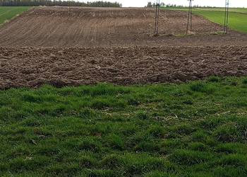 Sprzedam ziemie pole . Działka rolna .