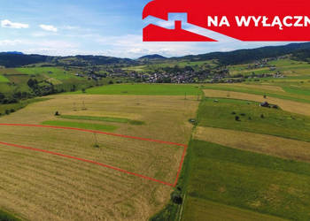 Działka w Grywałdzie; 1,1003 ha; warunki zabudowy