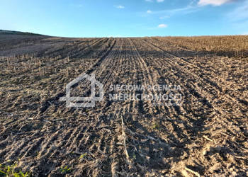 Oferta sprzedaży działki 1000m2 Żukowo