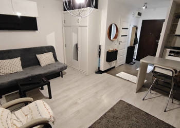 Jasne, przytulne mieszkanie 1 pokój z aneksem kuchennum, z balkonem na wyn…