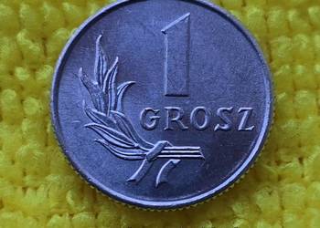 Moneta 1 grosz z 1949r ( jak nowa )