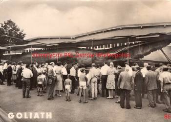 Pocztówka Riesenwal Goliath Norvegia Norwegia 1954 r