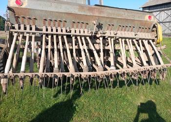 Siewnik Poznaniak Siewnik Poznaniak