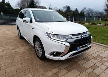 Bardzo ładny Hybryda