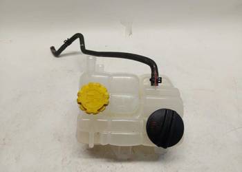 Cherry Jaecoo 7 PHEV 1.5 T-GDI Zbiorniczek wyrównawczy płynu 302001684AA