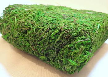 Mech sztuczny, suszony. Dekoracja do stroików. 100g