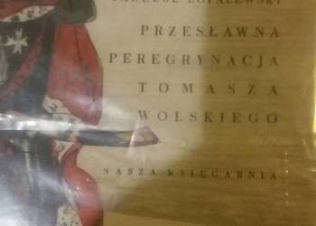 przesławna peregrynacja tomasza wolskiego książki dziecięce